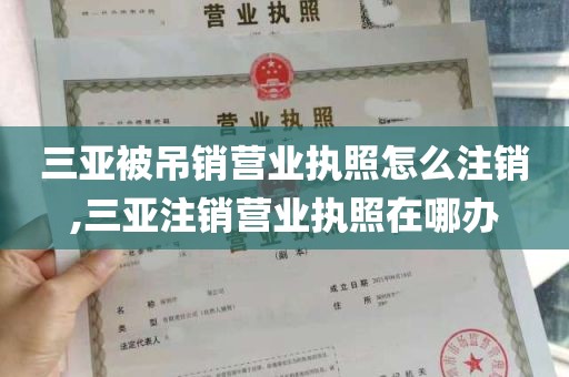 三亚被吊销营业执照怎么注销,三亚注销营业执照在哪办