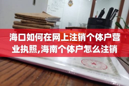 海口如何在网上注销个体户营业执照,海南个体户怎么注销