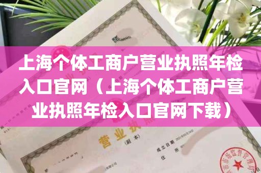 上海个体工商户营业执照年检入口官网（上海个体工商户营业执照年检入口官网下载）