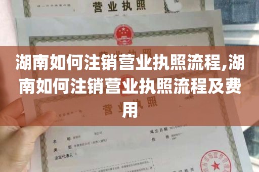 湖南如何注销营业执照流程,湖南如何注销营业执照流程及费用