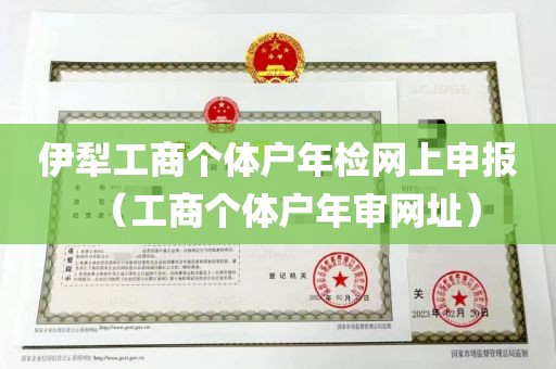 伊犁工商个体户年检网上申报（工商个体户年审网址）