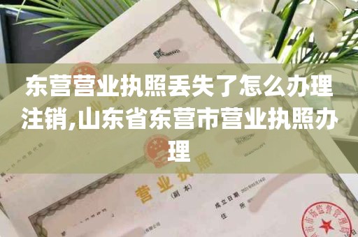 东营营业执照丢失了怎么办理注销,山东省东营市营业执照办理