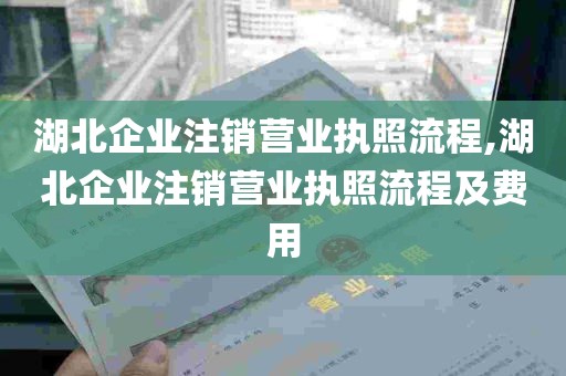 湖北企业注销营业执照流程,湖北企业注销营业执照流程及费用