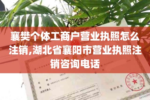 襄樊个体工商户营业执照怎么注销,湖北省襄阳市营业执照注销咨询电话