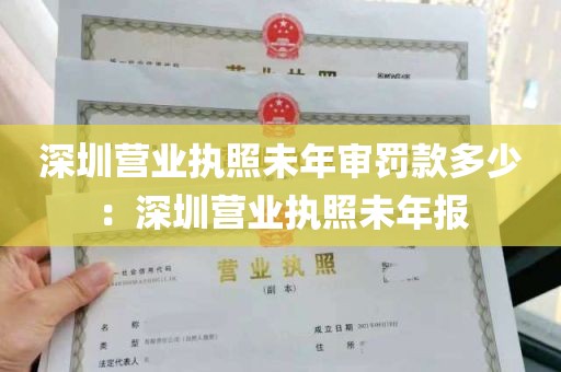 深圳营业执照未年审罚款多少：深圳营业执照未年报