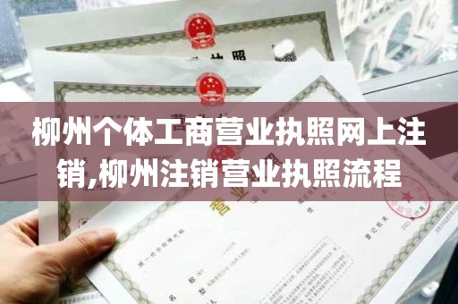 柳州个体工商营业执照网上注销,柳州注销营业执照流程
