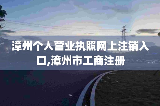 漳州个人营业执照网上注销入口,漳州市工商注册