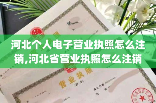 河北个人电子营业执照怎么注销,河北省营业执照怎么注销