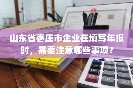 山东省枣庄市企业在填写年报时，需要注意哪些事项？