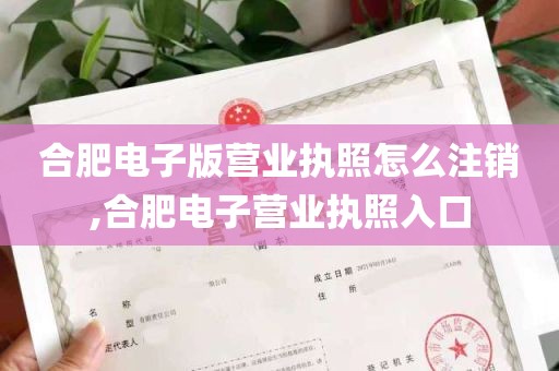 合肥电子版营业执照怎么注销,合肥电子营业执照入口