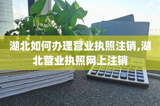 湖北如何办理营业执照注销,湖北营业执照网上注销