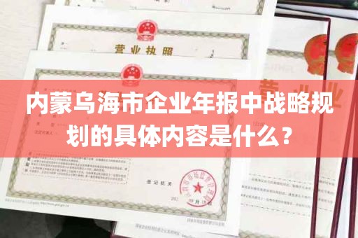 内蒙乌海市企业年报中战略规划的具体内容是什么？