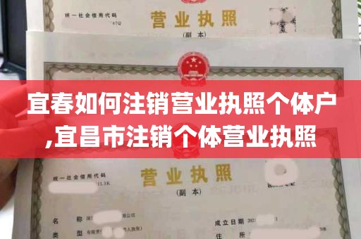 宜春如何注销营业执照个体户,宜昌市注销个体营业执照