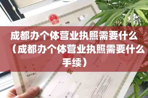 成都办个体营业执照需要什么（成都办个体营业执照需要什么手续）