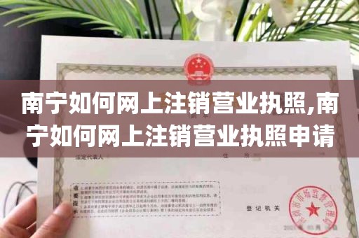 南宁如何网上注销营业执照,南宁如何网上注销营业执照申请