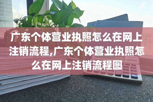 广东个体营业执照怎么在网上注销流程,广东个体营业执照怎么在网上注销流程图