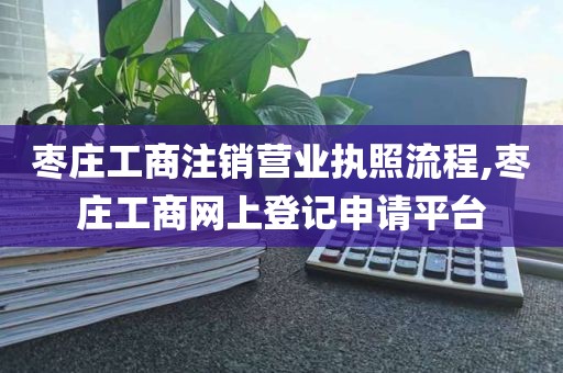 枣庄工商注销营业执照流程,枣庄工商网上登记申请平台