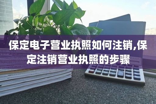 保定电子营业执照如何注销,保定注销营业执照的步骤