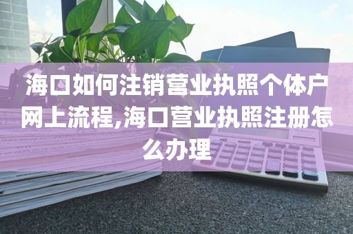 海口如何注销营业执照个体户网上流程,海口营业执照注册怎么办理