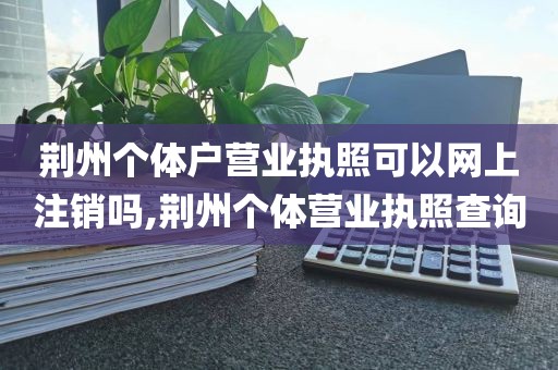 荆州个体户营业执照可以网上注销吗,荆州个体营业执照查询