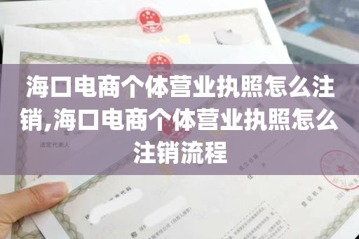 海口电商个体营业执照怎么注销,海口电商个体营业执照怎么注销流程