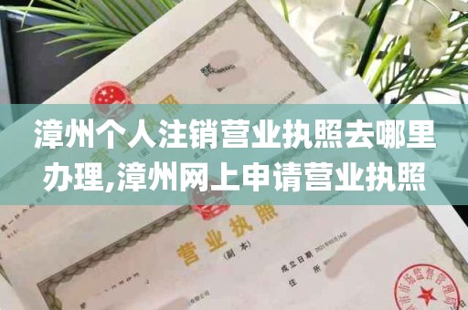 漳州个人注销营业执照去哪里办理,漳州网上申请营业执照
