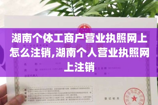 湖南个体工商户营业执照网上怎么注销,湖南个人营业执照网上注销