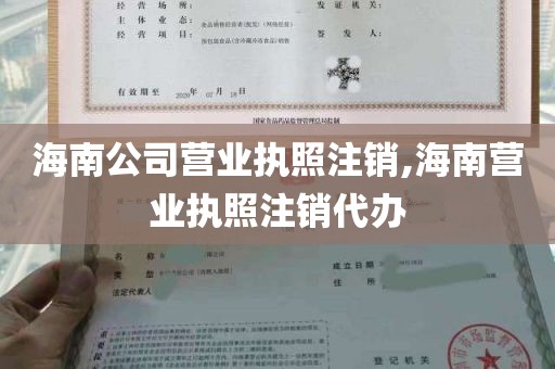 海南公司营业执照注销,海南营业执照注销代办