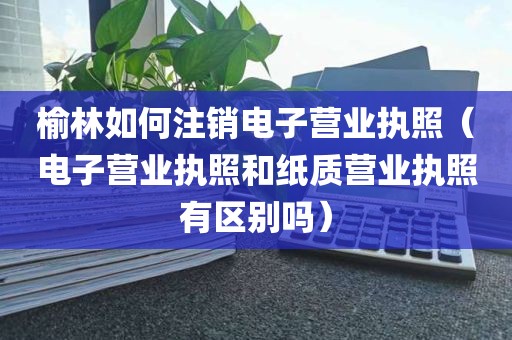 榆林如何注销电子营业执照（电子营业执照和纸质营业执照有区别吗）