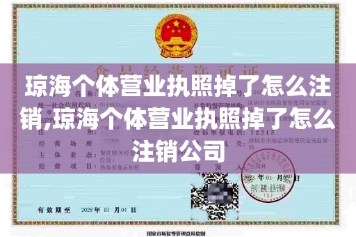 琼海个体营业执照掉了怎么注销,琼海个体营业执照掉了怎么注销公司