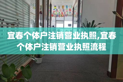 宜春个体户注销营业执照,宜春个体户注销营业执照流程