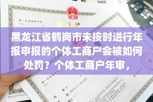 黑龙江省鹤岗市未按时进行年报申报的个体工商户会被如何处罚？个体工商户年审，