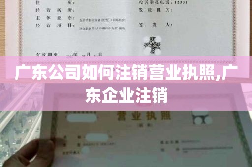 广东公司如何注销营业执照,广东企业注销