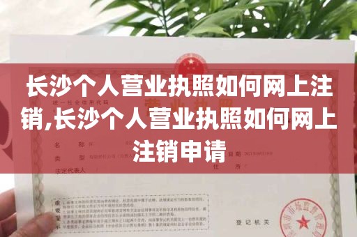 长沙个人营业执照如何网上注销,长沙个人营业执照如何网上注销申请