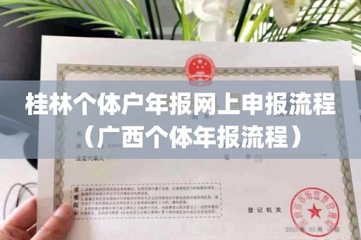 桂林个体户年报网上申报流程（广西个体年报流程）