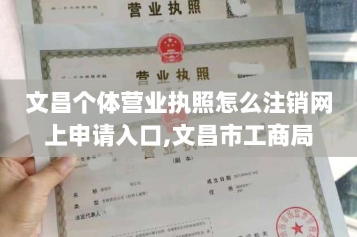 文昌个体营业执照怎么注销网上申请入口,文昌市工商局