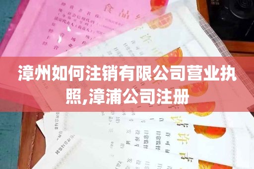 漳州如何注销有限公司营业执照,漳浦公司注册
