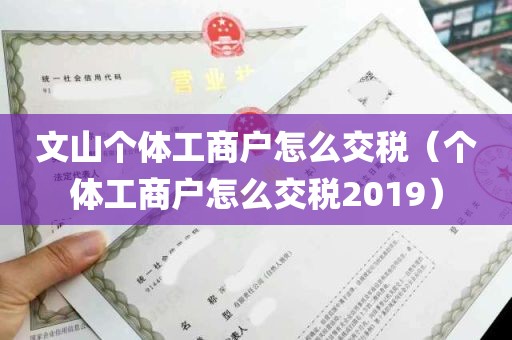 文山个体工商户怎么交税（个体工商户怎么交税2019）