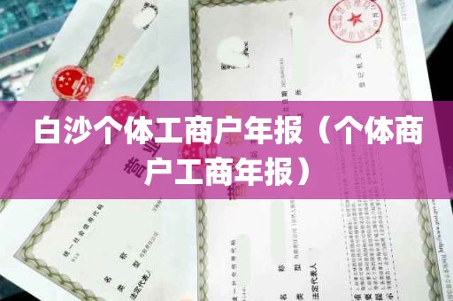 白沙个体工商户年报（个体商户工商年报）