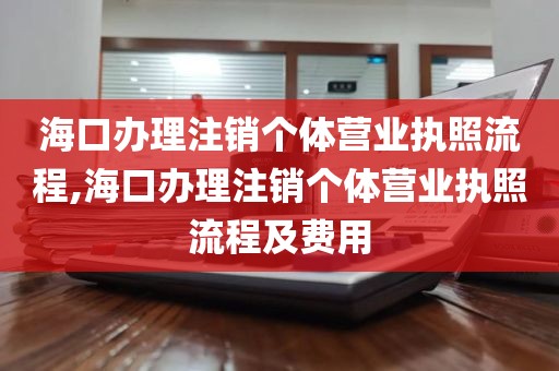 海口办理注销个体营业执照流程,海口办理注销个体营业执照流程及费用