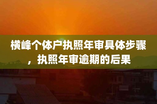 横峰个体户执照年审具体步骤，执照年审逾期的后果