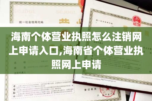 海南个体营业执照怎么注销网上申请入口,海南省个体营业执照网上申请