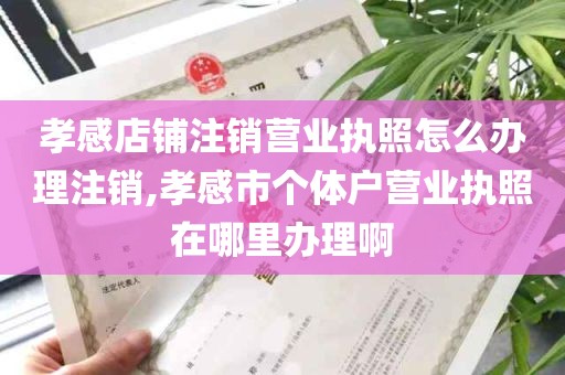 孝感店铺注销营业执照怎么办理注销,孝感市个体户营业执照在哪里办理啊