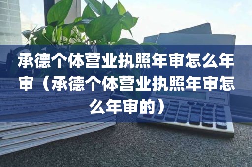 承德个体营业执照年审怎么年审（承德个体营业执照年审怎么年审的）