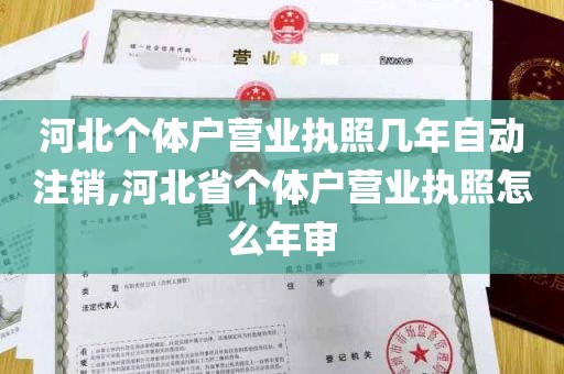 河北个体户营业执照几年自动注销,河北省个体户营业执照怎么年审