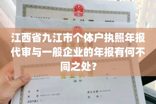 江西省九江市个体户执照年报代审与一般企业的年报有何不同之处？