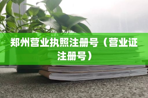 郑州营业执照注册号（营业证注册号）