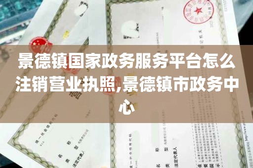 景德镇国家政务服务平台怎么注销营业执照,景德镇市政务中心