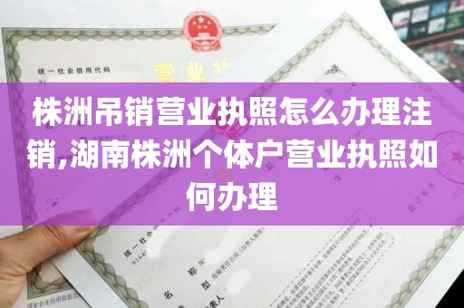 株洲吊销营业执照怎么办理注销,湖南株洲个体户营业执照如何办理