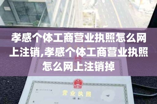 孝感个体工商营业执照怎么网上注销,孝感个体工商营业执照怎么网上注销掉